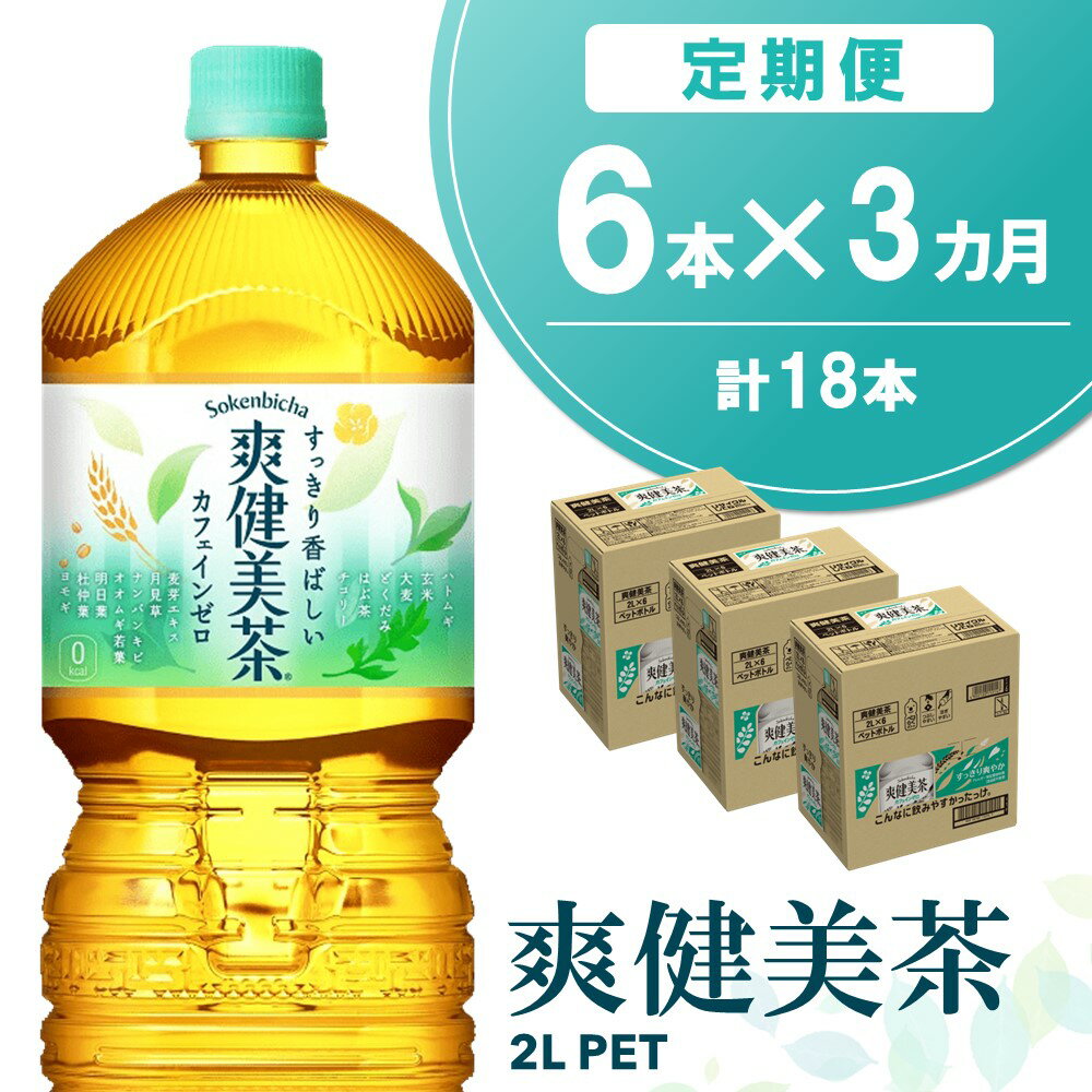【ふるさと納税】【3か月定期便】爽健美茶 2L×6本(1ケース)【コカコーラ カフェインゼロ 香ばしい おいしい ブレンド茶 お茶 国産 ハトムギ 玄米 大麦 ドクダミ ハブ茶 チコリー 麦芽 植物素材 飲料 お徳用 ペットボトル】A5-R090353