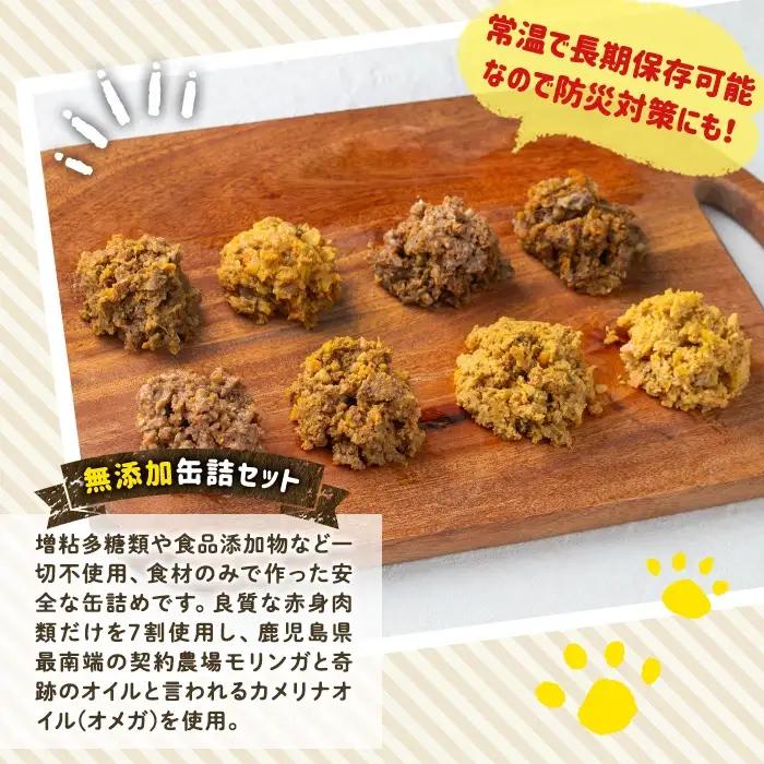 a1066-E 【6回定期便】＜増粘多糖類・食品添加物不使用＞愛犬用無添加缶詰 サーモン ウェットフード6缶×6回(1缶約140g・合計約5.04kg)【Nフードサービス】姶良市 サーモン ペット お