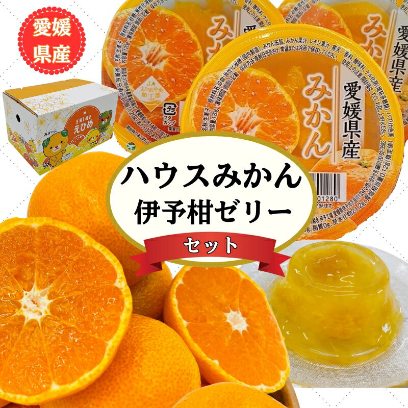 【ふるさと納税】みかん 愛媛 ハウスみかん＆伊予柑ゼリー 【2026年7月発送】ゼリー お菓子 デザート フルーツ ギフト おすすめ 人気 数量限定 柑橘 伊予市｜B41