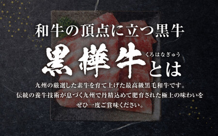 黒樺牛 焼肉用カルビ 計約750g（約250g×3パック） 焼肉用 カルビ 黒毛和牛 和牛 牛肉 牛