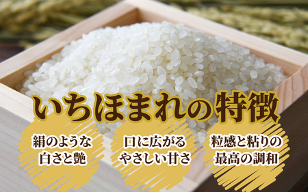 【3ヶ月定期便】【令和7年産】福井県産 いちほまれ（白米）10kg×3回　計30kg[G-097003]
