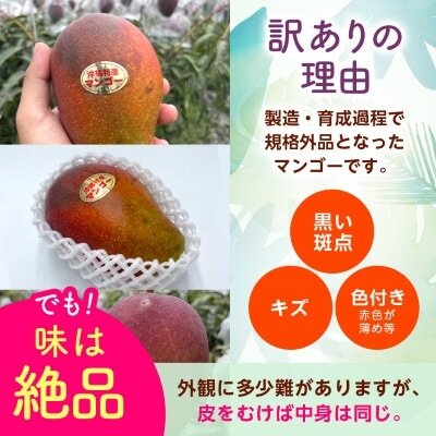 【2026年6月から順次発送・訳あり】JAおきなわ厳選 アップルマンゴー3.0kg(6～12玉)【配送不可地域：離島】【1724297】
