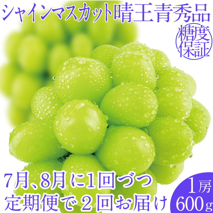 
            2025年予約受付中【2回定期便】 シャインマスカット晴王1房 約600g 7月8月に出荷 人気 岡山県産 種無し 皮ごと食べる みずみずしい フレッシュ 晴れの国 おかやま 果物大国 ハレノフルーツ [№5735-2146]
          