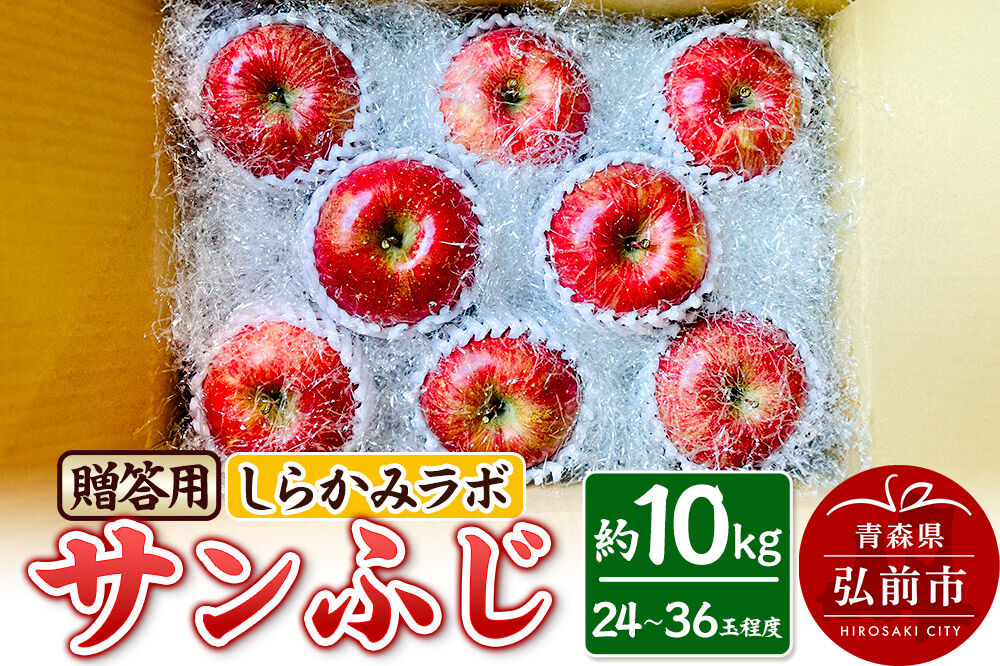 【26年12月中旬〜発送】りんご サンふじ【贈答用】約10kg 先行受付 しらかみラボ 青森県 弘前市 果物 フルーツ 林檎 リンゴ くだもの ギフト 贈り物 [先行予約 産地直送 アップル おいしい 果実 美味 甘い 赤色]