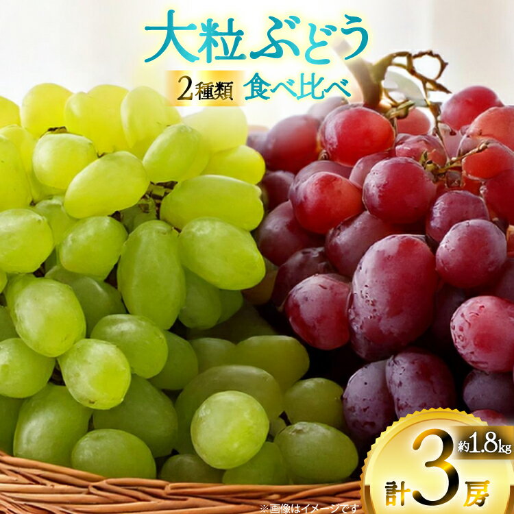 【ふるさと納税】 【期間限定発送】 ピオーネ シャインマスカット 2種 食べ比べ セット 約1.8kg [四釜昌和 山形県 高畠町 tk06ayt020006] ぶどう ブドウ 葡萄 マスカット 大粒 種なし 果物 フルーツ くだもの
