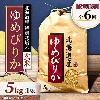 ふるさと納税 長沼町 【毎月定期便】特別栽培米 北海道産ゆめぴりか5kg 美味しい玄米 特Aランク 全6回