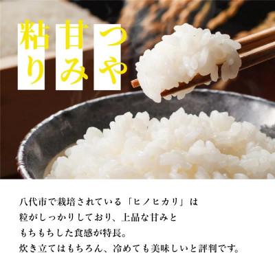 ふるさと納税 八代市 【先行予約】《令和7年産》 ヒノヒカリ 5kg×1袋 計5kg 熊本県産 |  | 01