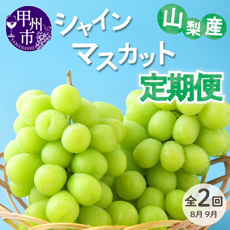【ふるさと納税】 シャインマスカット 定期便 2回 2房 約1kg 果物 フルーツ 大粒 旬 マスカット 人気 高級 新鮮 フレッシュ 種無し ぶどう 葡萄 ブドウ 種なし 山梨県産 2025年 産地直送 化粧箱入り ギフト 贈答 社員マスカット 山梨 甲州市 (VYD) 【C2-885】