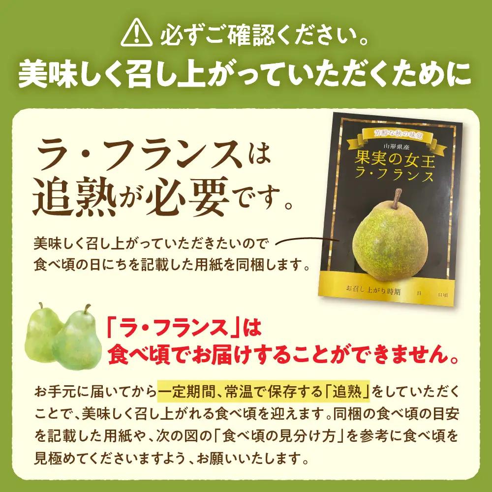 洋梨 ラフランス 5kg 特秀 令和8年産 洋梨 ラフランス