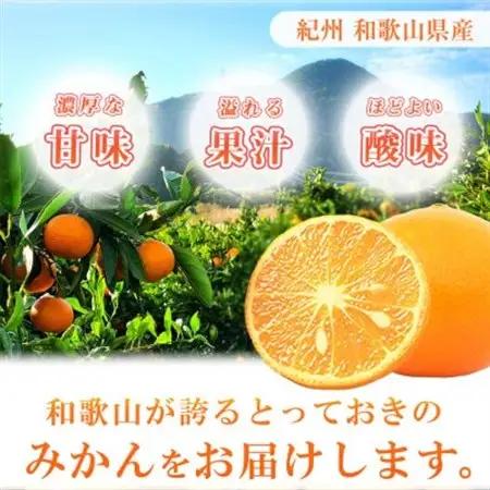【2027年4月より発送】【ご家庭用訳アリ】初夏のみかん なつみ7.5kg【日高町】【配送不可地域：離島】【1216964】