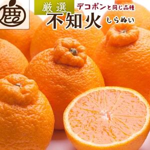 厳選 不知火5kg+250g(傷み補償分)【デコポンと同品種・人気の春みかん】【配送不可地域：離島・北海道・沖縄県】【1633610】