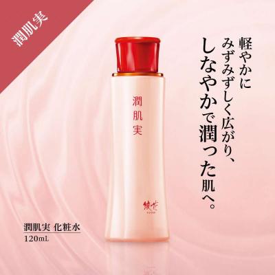 ふるさと納税 飯能市 【ちふれ】潤肌実 化粧水