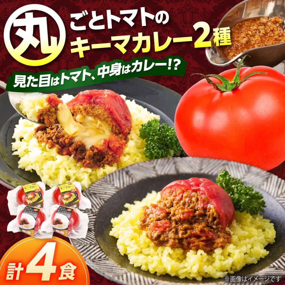 赤いとまて箱 キーマカレー2種セット / 一力屋[AWAE005]キーマカレー