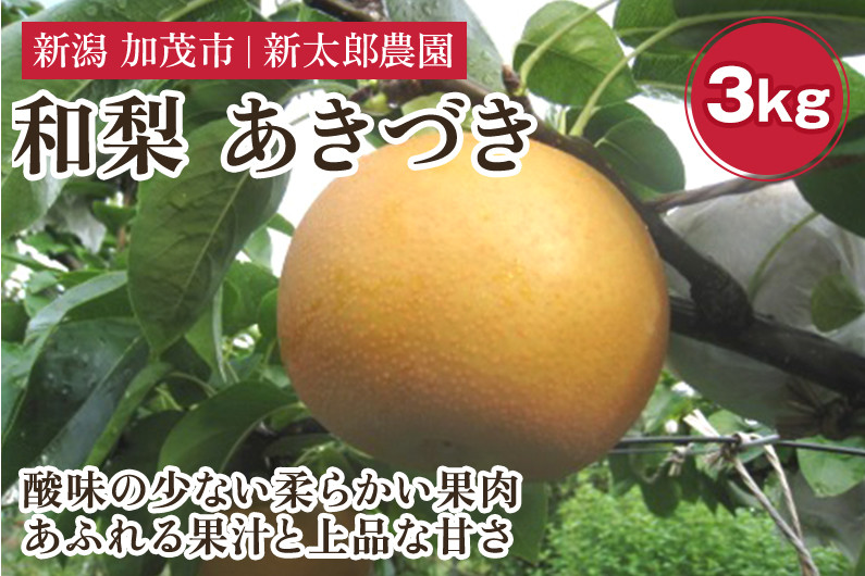 
                  【2026年先行予約】和梨 あきづき 3kg（5～7玉）  《9月中旬から順次発送》 果物 フルーツ 梨 和梨 デザート 加茂市 新太郎農園
                