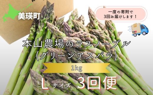 
            【令和8年産先行予約】 幻のアスパラ Lサイズ 1kg 3回便 ラスノーブル <令和8年産 > 北海道 美瑛町 本山農場 グリーンアスパラ  | グリーン アスパラガス アスパラ あすぱら あすぱらがす 採れたて 新鮮 旬 産地直送 野菜[042-12]
          