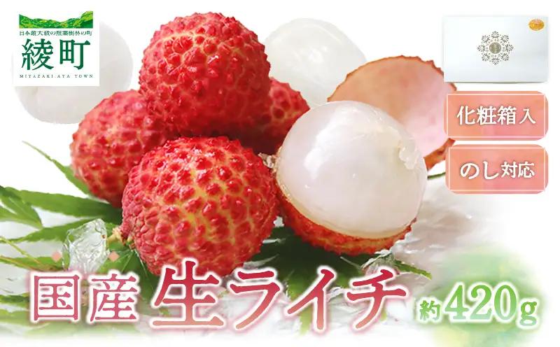 【先行予約/数量限定】希少 国産 綾生ライチ（化粧箱入り） 宮崎県 綾町産 ライチ 贈答 ギフト プレゼント 国産ライチ 果物 フルーツ 生ライチ 産地直送 期間限定 送料無料 お中元【JA綾町】_A0114-1041