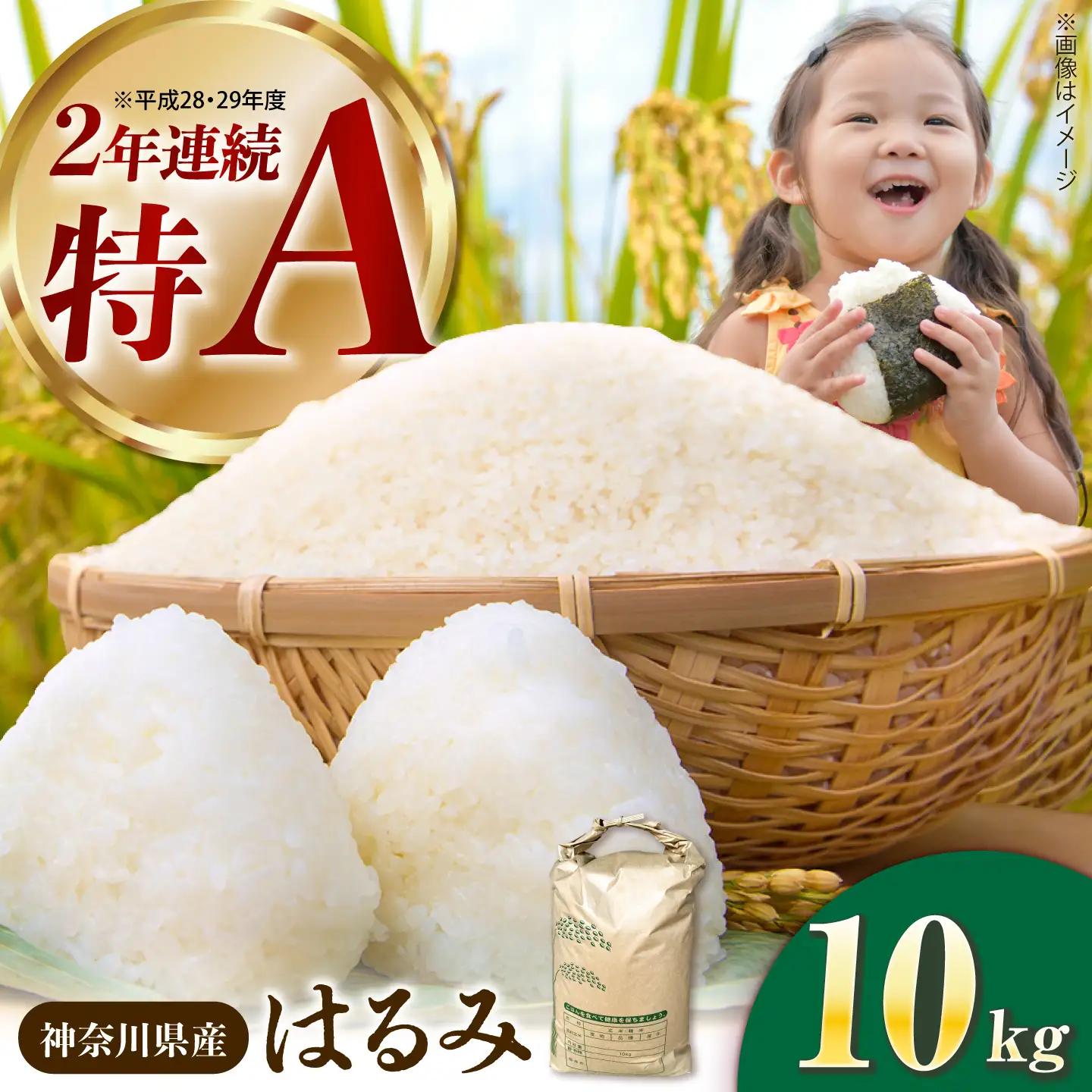 米 はるみ米 10kg 白米 [BDBB003]