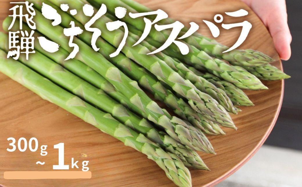 
            《根本までむしゃむしゃ食べられる!!》【先行予約 令和7年 2025年発送】 飛騨の甘～い柔らかアスパラガス 300g 1kg アスパラ 春野菜 野菜 朝採り とれたて 野菜 旬 小分け 保存 産直 産地直送 お取り寄せ 飛騨市
          