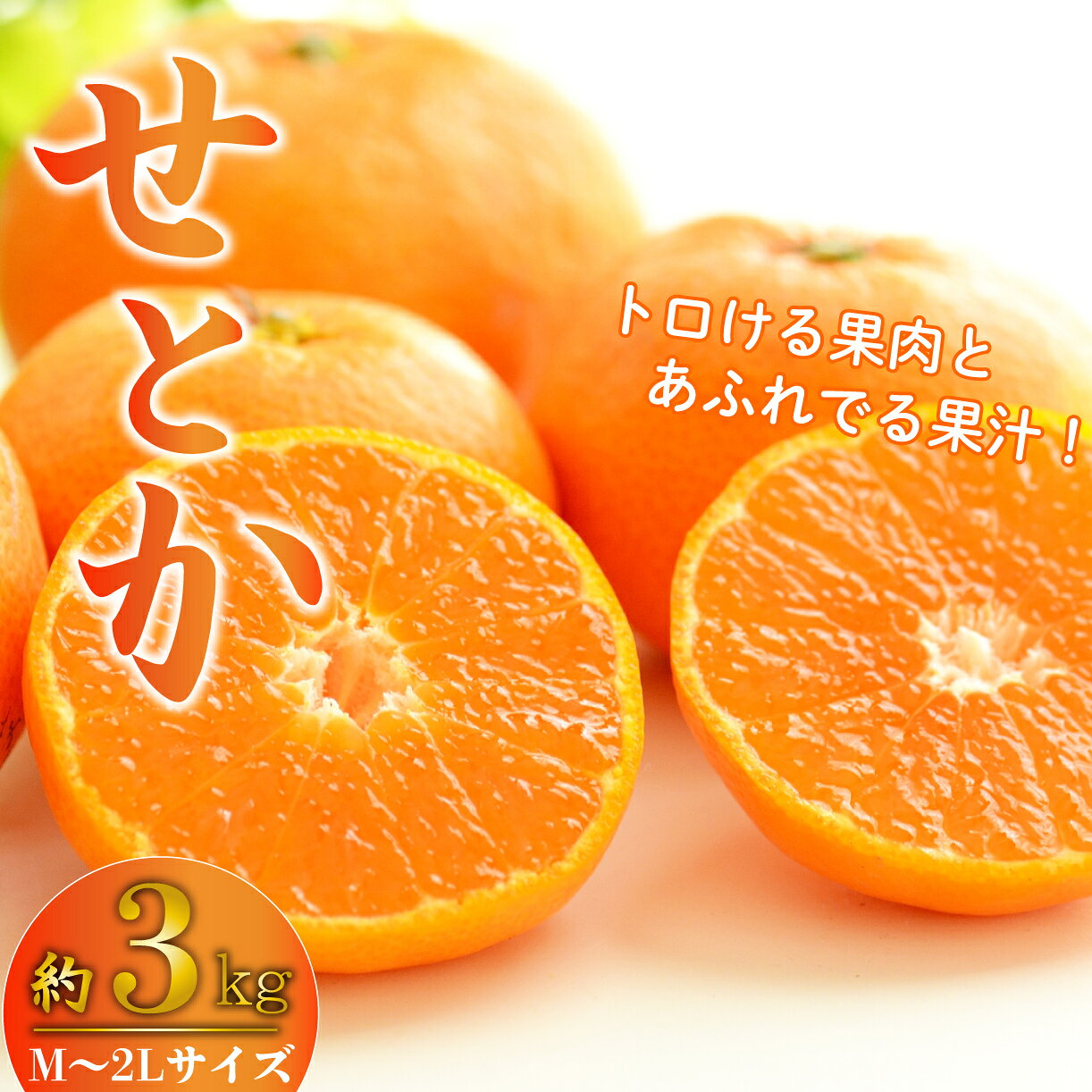 【ふるさと納税】 せとか みかん 【予約受付】 柑橘 約 3kg M～2Lサイズ 産地直送 数量限定 柑橘 西浦 沼津 蜜柑 静岡県 沼津市