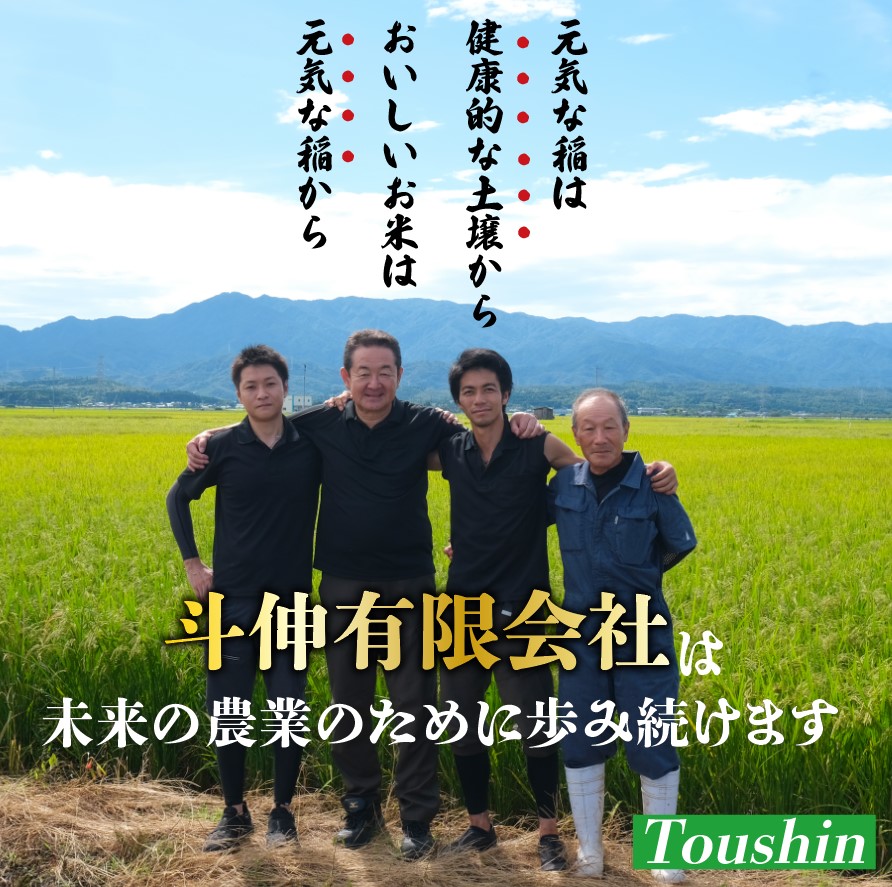 先行予約 コシヒカリ 無洗米 5kg 令和7年産 特別栽培米 こしひかり 米 お米 こめ 新潟米 新潟県産 新潟産 新潟 新潟県 新発田産 新発田 新発田市 斗伸 toushin001_02