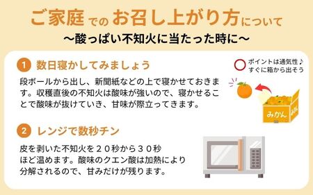 ＼農家直送／こだわりのデコポン不知火 約5kg 有機質肥料　※2026年2月中旬～4月中旬より順次発送予定（お届け日指定不可）【nuk111C】