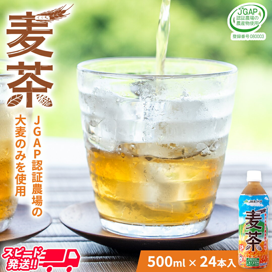 【ふるさと納税】【 JA 北つくば 】 JGAP認証 麦茶 1箱 ( 500ml × 24本 ) JGAP JA お茶 茶 ペットボトル 麦 大麦 二条大麦 ノンカフェイン カフェインゼロ