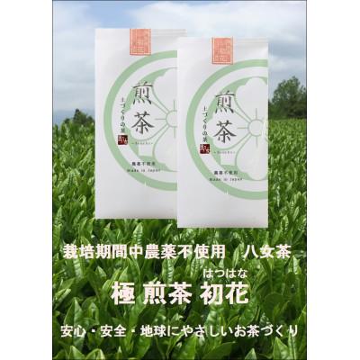 ふるさと納税 八女市 栽培期間中農薬不使用八女茶　極煎茶　初花2本