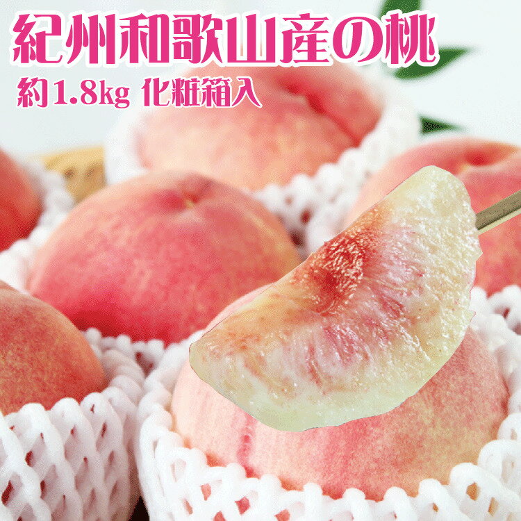 【ふるさと納税】 紀州和歌山産の桃 約1.8kg 化粧箱入 ※2026年6月下旬頃〜2026年8月上旬頃順次発送（お届け日指定不可）