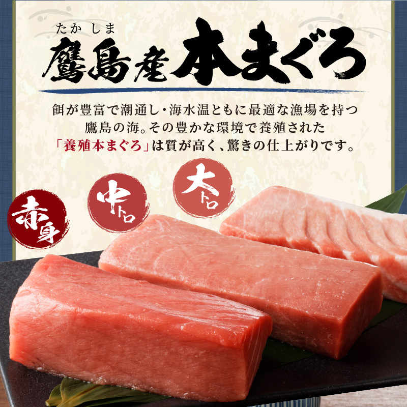 鷹島産本まぐろ本気の食べ比べ(大トロ・中トロ・赤身合わせて600g)( 養殖本まぐろ 鷹島本まぐろ 新鮮 マグロ )【C8-012】