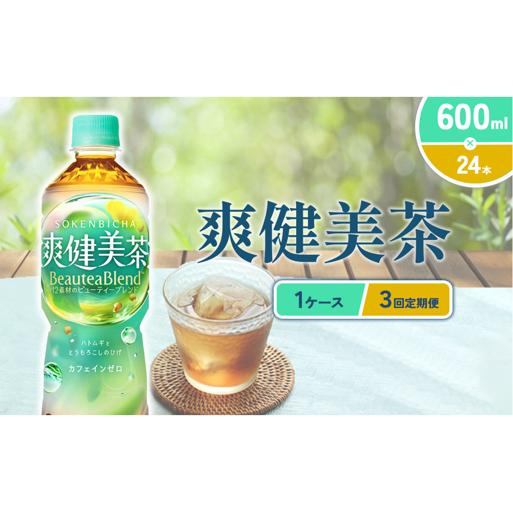 （3回定期便）爽健美茶 600ml PET【コカ・コーラ】ペットボトル 1ケース(24本) 定期便 3回(72本) セット お茶 カフェインゼロ ノンカフェイン ハトムギ ブレンド茶 宮崎県 えびの市