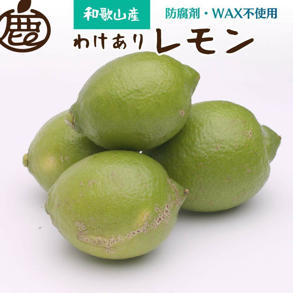 【ふるさと納税】家庭用 レモン5kg+250g（傷み補償分）【和歌山有田産】【防腐剤・WAX不使用、安心の国産レモン】【わけあり・訳ありレモン】［IKE126］ | 和歌山県 和歌山 那智勝浦町 レモン 果物 くだもの フルーツ 果実 旬の果物 旬のフルーツ 柑橘類 かんきつ類