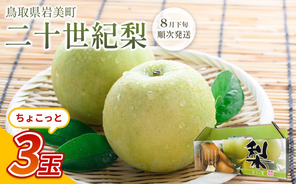 
                  【先行予約】中野農園 梨 ”二十世紀梨” 3玉入り｜鳥取 岩美 梨 なし ナシ 20世紀梨 青梨 果物 フルーツ 常温 ※お届けは2026年8月下旬頃～【41024】
                