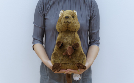 クオッカ親子ぬいぐるみ | ぬいぐるみ クオッカ こども動物自然公園 プレゼント オリジナル グッズ ホビー 動物 小サイズ かわいい クオッカグッズ 埼玉県こども自然動物公園 埼玉県 東松山市