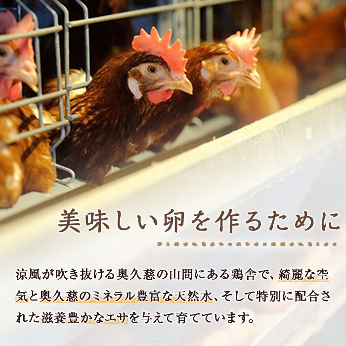 三ツ星レストランや一流料理人が愛するブランド卵『奥久慈卵』赤 30個 たまご タマゴ 鶏卵 玉子 卵 ミネラル 冷蔵便 茨城県 新鮮 臭みのないおいしい卵 赤卵 食品 普段使い用 パック包装 産地直送