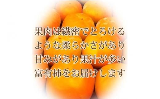 【ご家庭用わけあり】和歌山秋の味覚 富有柿 約7.5kg ※2025年11月上旬～12月上旬頃に順次発送予定