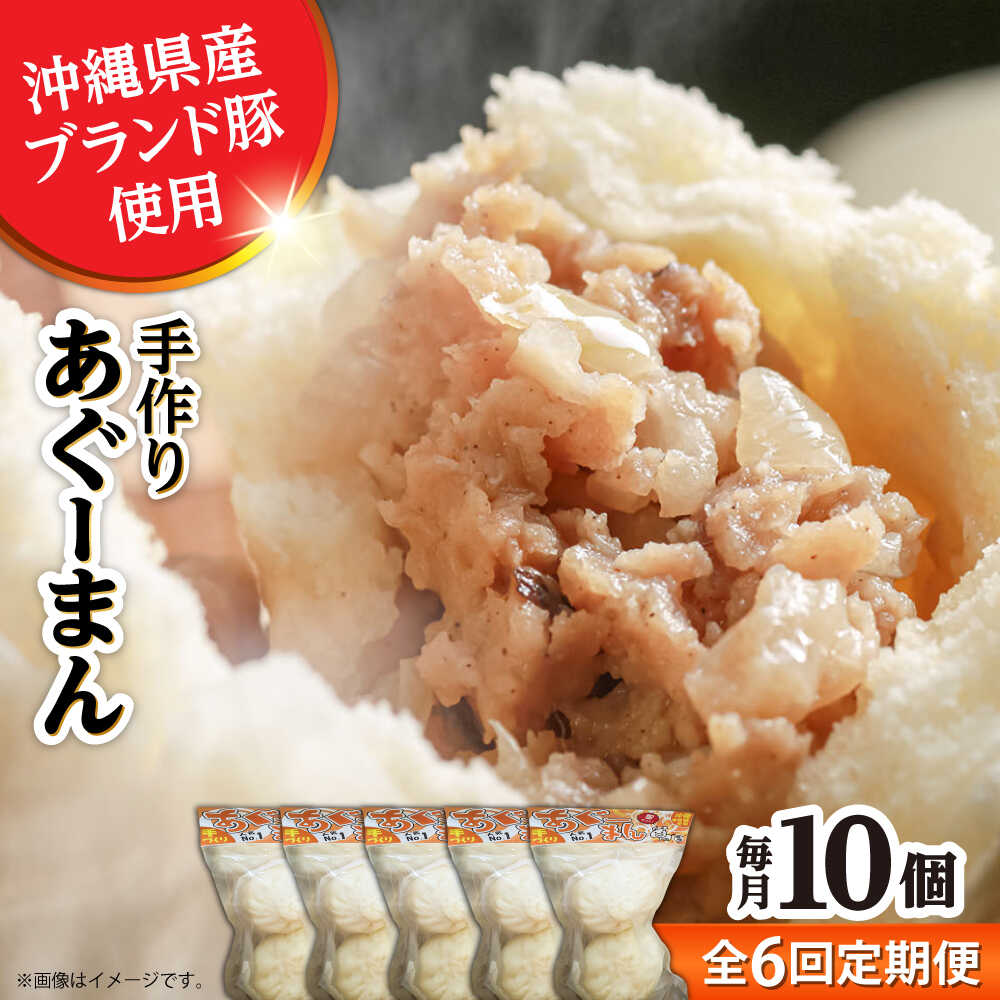 【ふるさと納税】【全6回定期便】あぐーまん 10個入り (2個入り×5P) 肉まん 豚まん 点心 お取り寄せ 冷凍 沖縄市 / 豚々茶舗[BCBL021]