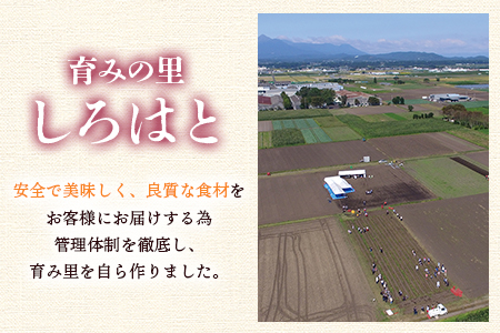 ＜【B】2025年度おいも株オーナー制度1口セット2株 霧島紅かぐら(最低2.4kg保証)+特産品＞2024年12月中旬頃に熟成されたさつまいもときんかんをお届け！【MI187-sh-s-R7】【株式