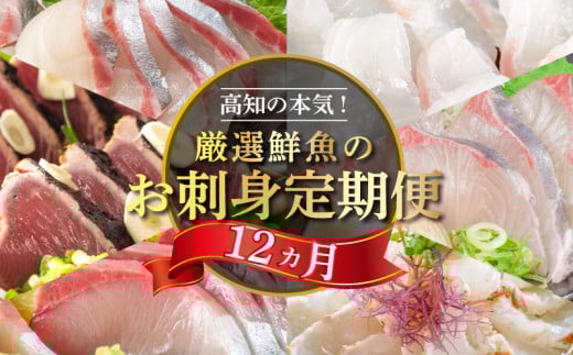 定期便 1年 12ヶ月 12回 小島水産 がお届けする！美味しいお刺身コース（鮮魚下処理済）頒布会 海鮮 鰤 ブリ 勘八 カンパチ 鯛 乙女鯛 真鯛 マダイ かつおのタタキ 鰹 カツオ 鰹のたたき 縞鯵 シマアジ 刺し身 刺身