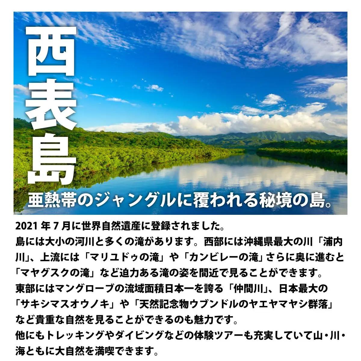 【夏季限定】西表島 森林浴キャニオニングツアー 小人1名分
