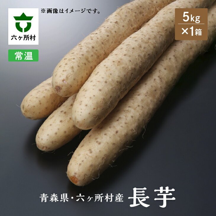 【ふるさと納税】《先行予約》2025年12月中旬〜出荷　青森県六ヶ所村産 長芋 5kg とろろ 長芋 山芋 旬 新鮮 グルメ お取り寄せ ギフト お中元 お歳暮 ふるさと 返礼品 六ヶ所村 青森 送料無料 【株式会社 石久保農産】