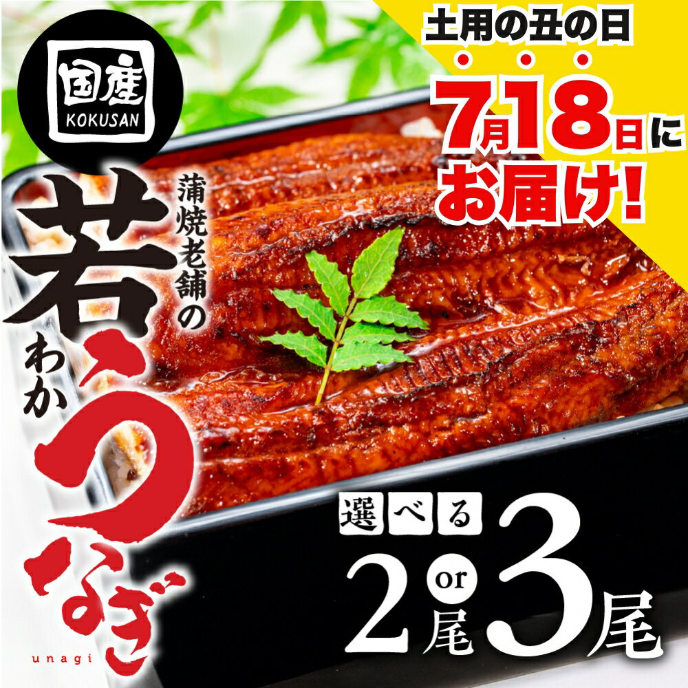 【ふるさと納税】≪7月18日に届く！≫ 国産若うなぎ 2尾〜3尾 選べる 老舗 国産うなぎ セット 詰め合わせ 蒲焼 ウナギ 2尾 3尾 厳選 冷凍 土用 丑の日 土用の丑の日 鰻 国産 高級 蒲焼 お歳暮 お中元 unagi 土用 豊橋うなぎ 愛知県 豊橋市 9000円 13000円