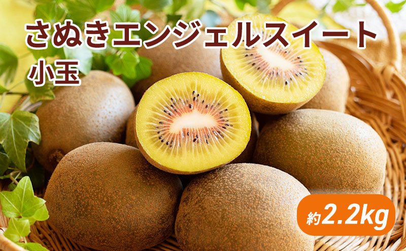 さぬきエンジェルスイート　小玉約2.2kg_キウイフルーツ 果物詰合せ くだもの 