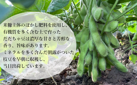 【令和6年産先行予約】山形県鶴岡市産 だだちゃ豆2kg＋訳ありだだちゃ豆500g　株式会社アグリシア
