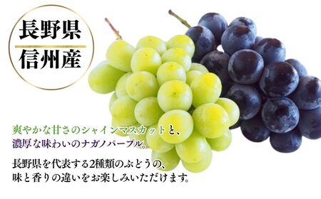 【2025年先行予約】 シャインマスカット ＆ ナガノパープル 詰め合わせ セット （各約500g/計約1kg）｜シャインマスカット シャインマスカット シャインマスカット シャインマスカット シャイ