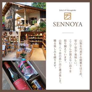 うちゅうブルーイング クラフトビール 12本セット 350ml 宇宙ビール うちゅうビール 飲み比べ 八ヶ岳 せんのや