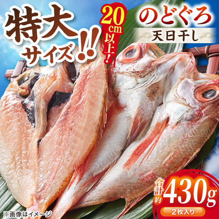 【ふるさと納税】TV放映多数！県内外のファンがわざわざ訪れる 天日ほしもん屋特製 のどぐろ干物×2枚（大サイズ・20cm） 島根県松江市/桝谷鮮魚店[ALCJ001]｜のどぐろ ノドグロ のど黒 アカムツ あかむつ 高級魚 干物 干もの ひもの 天日干し