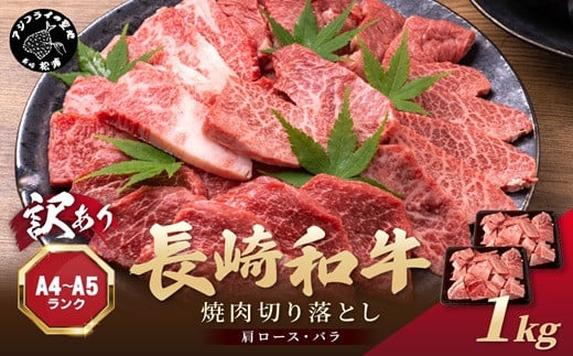 
            訳あり！焼肉用【A4～A5】長崎和牛焼肉切り落とし(肩ロース・バラ)1kg(500g×2P)( 牛肉 切り落とし 訳あり 人気 おすすめ 長崎和牛 和牛 ブランド和牛 バーベキュー BBQ 肉 焼肉 焼き肉 冷凍 国産 送料無料 訳アリ わけあり )【B8-017】
          