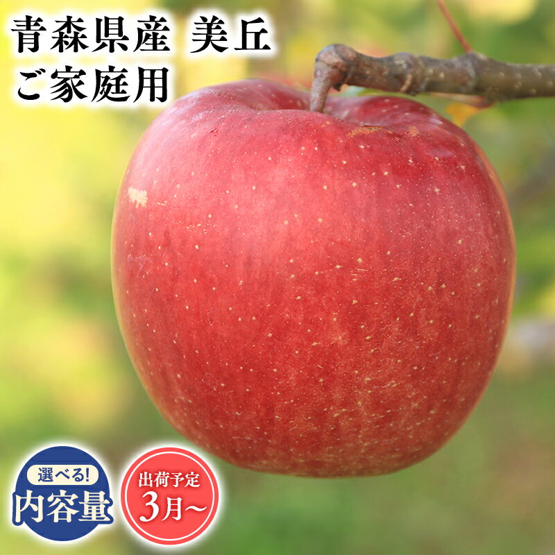 【ふるさと納税】≪内容量が選べる!≫ 青森県産 訳あり 美丘 3kg 5kg 10kg 【青森県 平川市 そと川りんご園】3月～5月発送 家庭用 りんご リンゴ 林檎 くだもの 果物 詰め合わせ 旬 フルーツ 3月 4月 5月 青森県産 青森 レビューキャンペーン