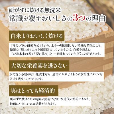 ふるさと納税 四万十町 【毎月定期便】四万十町産 無洗米「にこまる」 5kg全3回 |  | 02