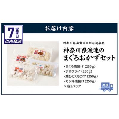 ふるさと納税 三浦市 神奈川県漁連　まぐろおかずセット【からあげ・ひとくちカツ・ホホフライ】 |  | 02